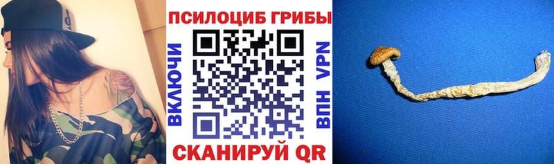 купить закладку  Саяногорск  Псилоцибиновые грибы GOLDEN TEACHER 